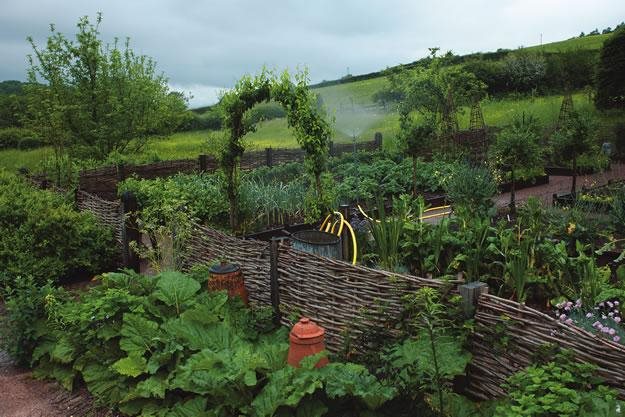 5 Concepts for a Kitchen Yard