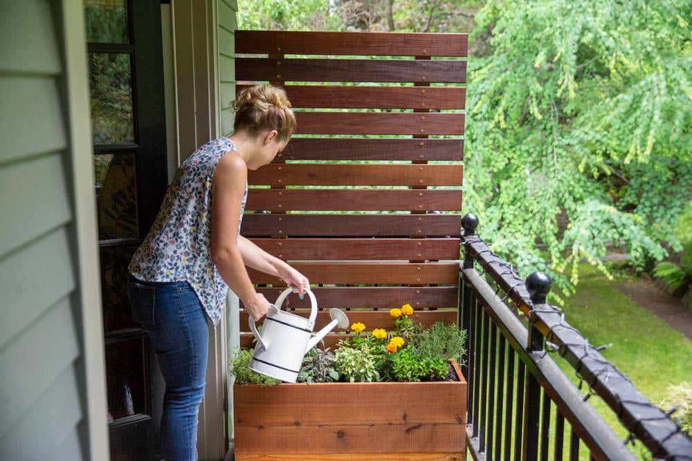 DIY Outdoors Screens and Yard Privateness Ideas • The Yard Glove