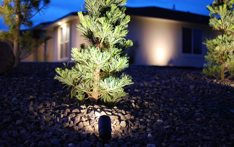 How To Arrange Low Voltage Outdoor Panorama Lighting • The Yard Glove