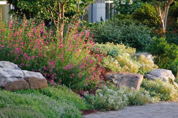 Lovely Rock Yard Ideas for Landscaping on a Slope • The Yard Glove