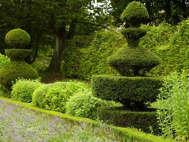 Topiary: Type Shifters | Yard Design